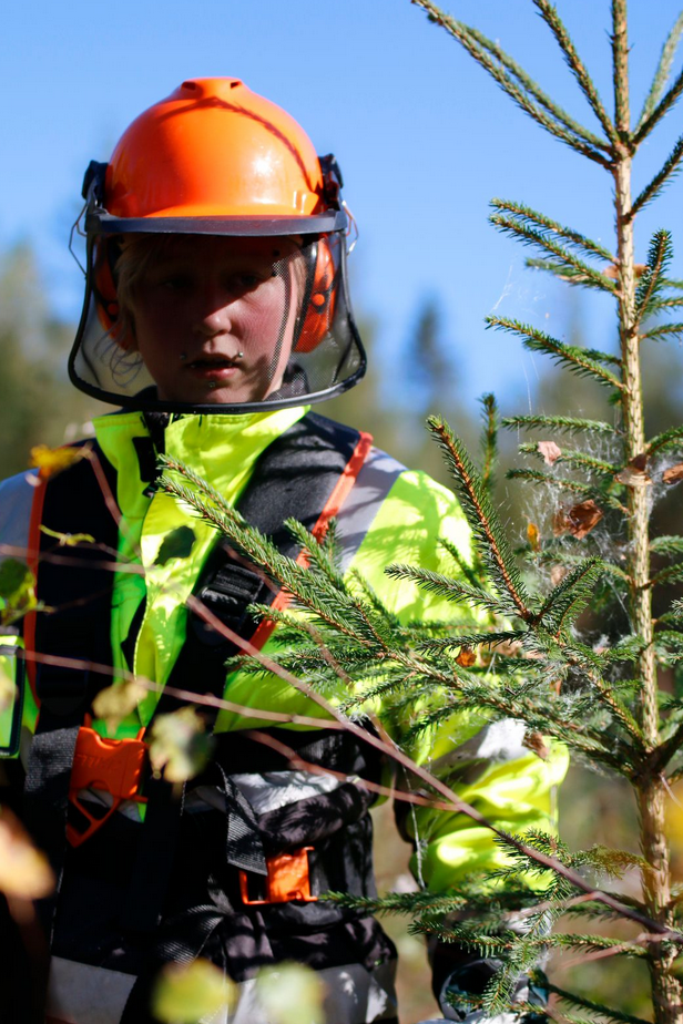 Metsuri metsäopetus